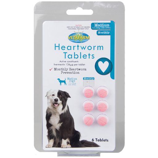 do dogs need to take heartworm pills every month