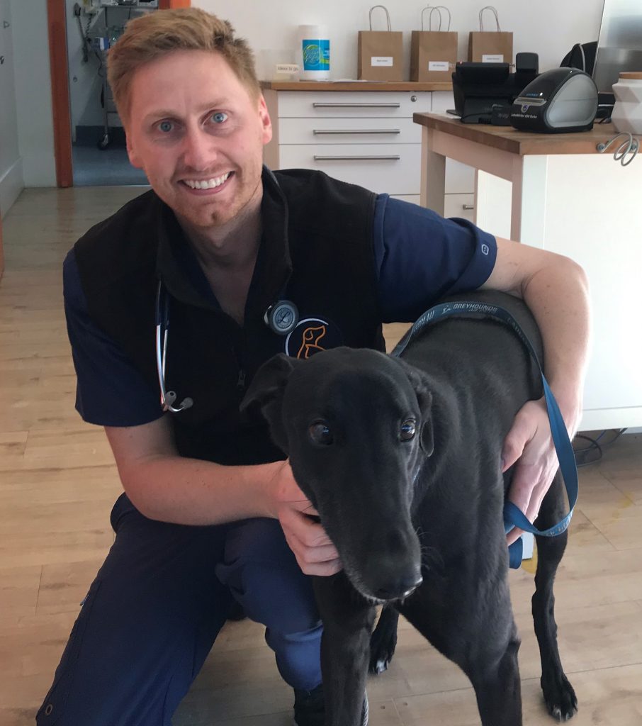 Veterinarian with greyhound