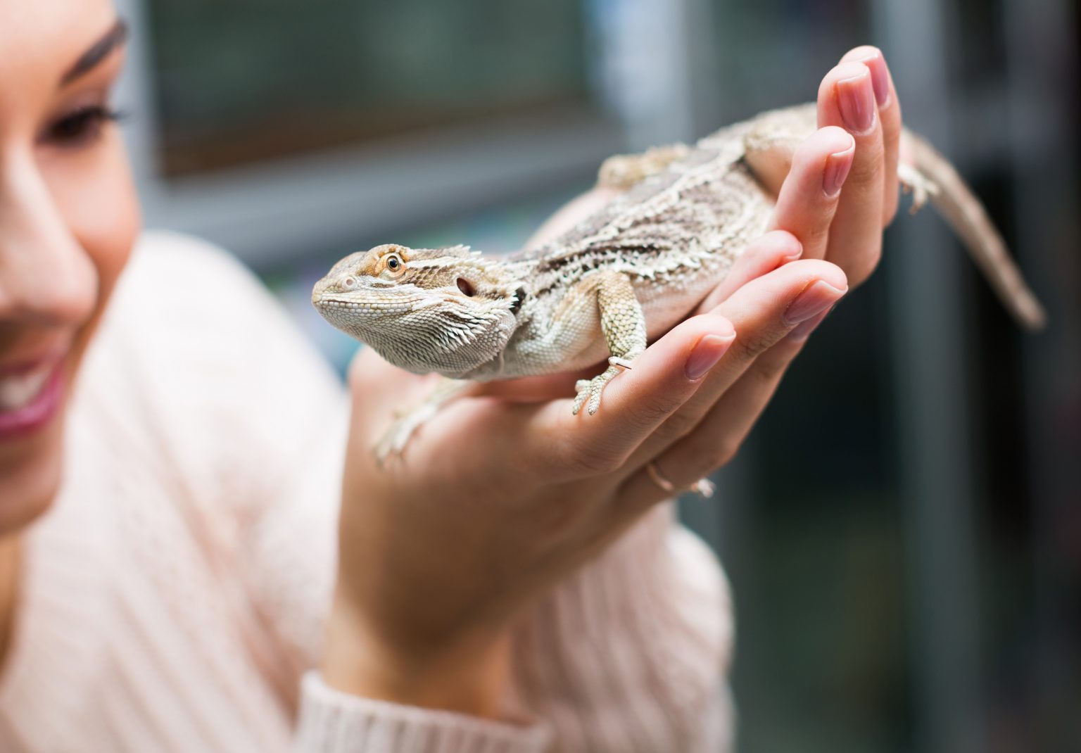 Salmonella in Reptiles Vetafarm