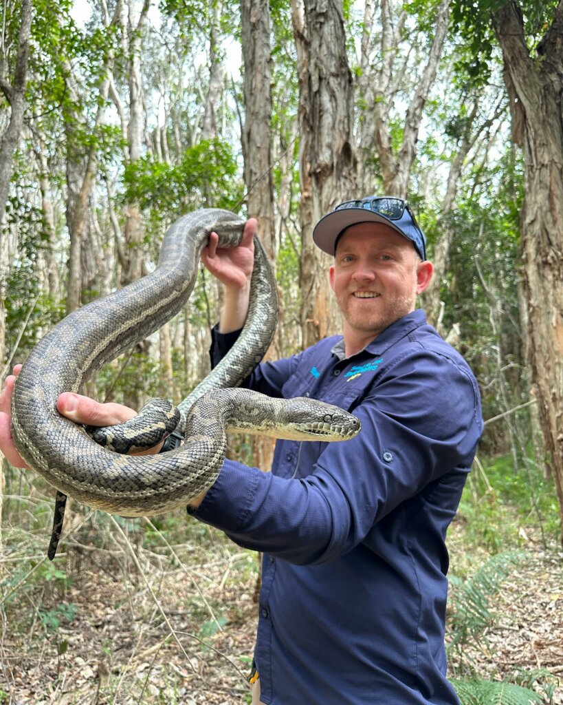 Snake catcher Stuart McKenzie finds social media stardom in unexpected  career 