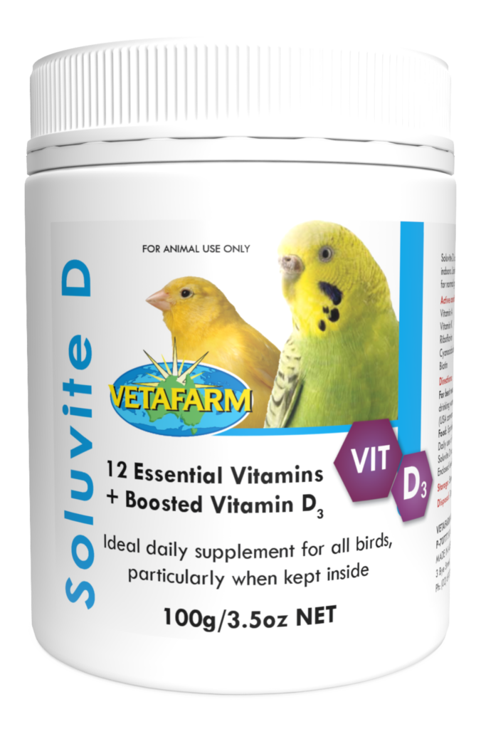 Exploring the Vital Role of Vitamin D for Birds | Vetafarm
