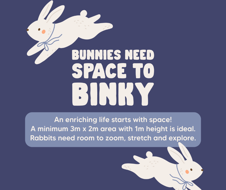 Image explains need for rabbits to have space in their enclosure.