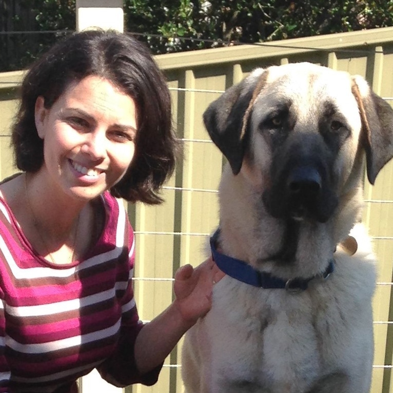 Picture of Introducing your Dog to New Pets - Vetafarm