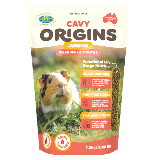 Cavy_Origins_Junior_Front-3.png